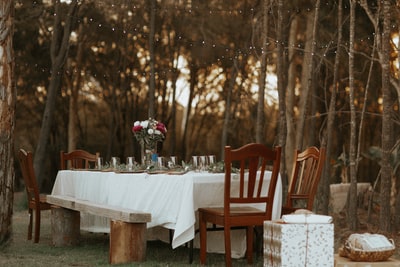 餐桌和椅子中间的森林
